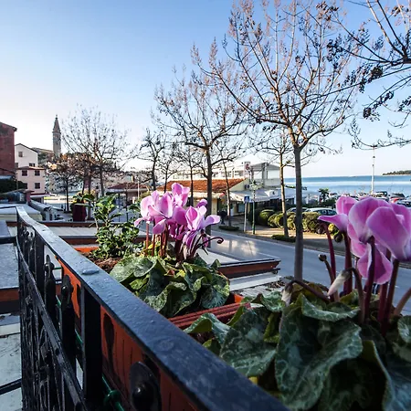 Apartman Sea View Antica Porta Sul Mar *